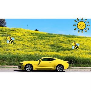 Meet your Posher, Carla